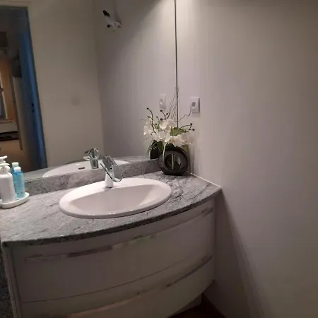 T3 Centre Avec Parking, Vue Bassin, Proches Commerces - Fr-1-319-449