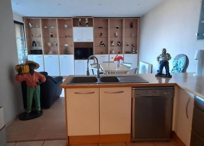 T3 Centre Avec Parking, Vue Bassin, Proches Commerces - Fr-1-319-449 * アルカション