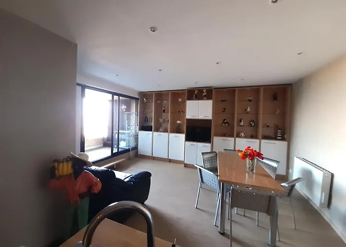 T3 Centre Avec Parking, Vue Bassin, Proches Commerces - Fr-1-319-449 *